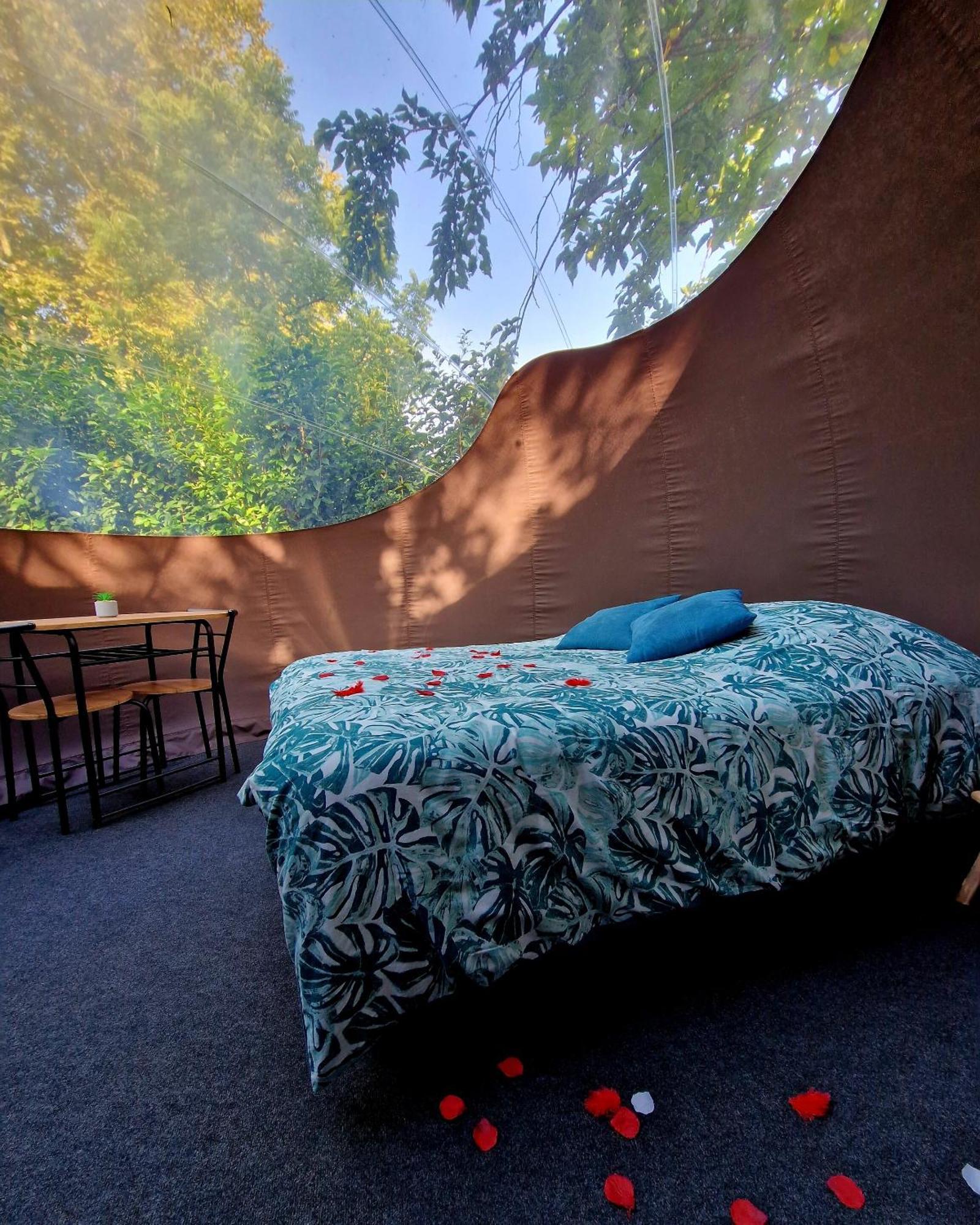 Les Nuits De Cassiopee Bed & Breakfast Sorde-lʼAbbaye Oda fotoğraf